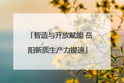 智造与开放赋能 岳阳新质生产力提速