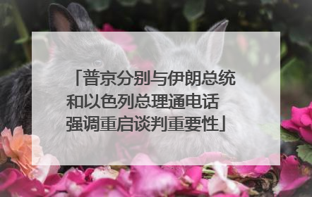 普京分别与伊朗总统和以色列总理通电话 强调重启谈判重要性