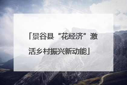 景谷县“花经济”激活乡村振兴新动能