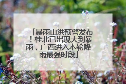 暴雨山洪预警发布！桂北已出现大到暴雨，广西进入本轮降雨最强时段