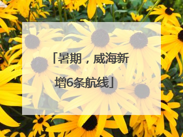暑期，威海新增6条航线