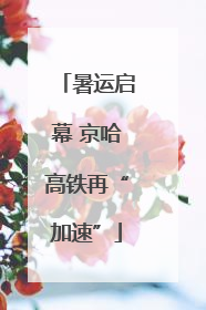 暑运启幕 京哈高铁再“加速”