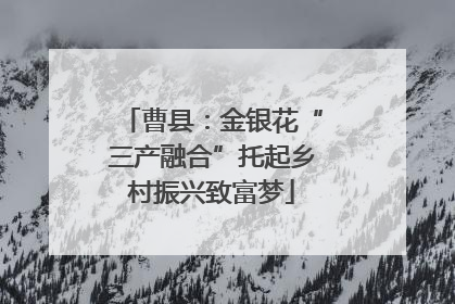 曹县：金银花“三产融合”托起乡村振兴致富梦