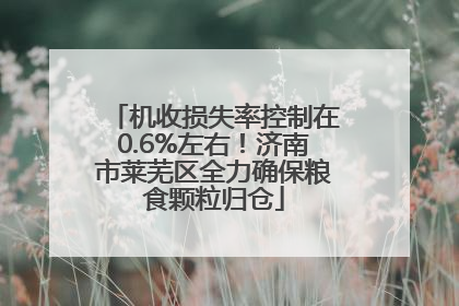 机收损失率控制在0.6%左右！济南市莱芜区全力确保粮食颗粒归仓