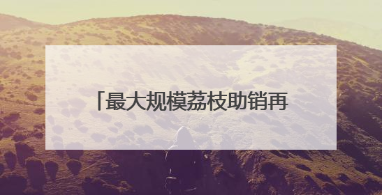 最大规模荔枝助销再添一码！京东物流开通“深圳-武汉-西安” 荔枝全货机航线