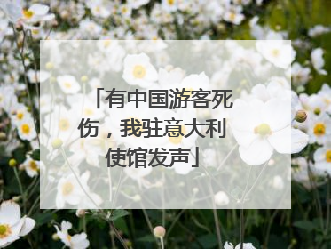 有中国游客死伤，我驻意大利使馆发声