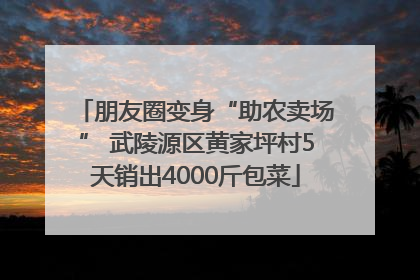 朋友圈变身“助农卖场” 武陵源区黄家坪村5天销出4000斤包菜