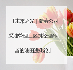 未来之光｜新春公司采油管理二区副经理孙哲的油田进化论