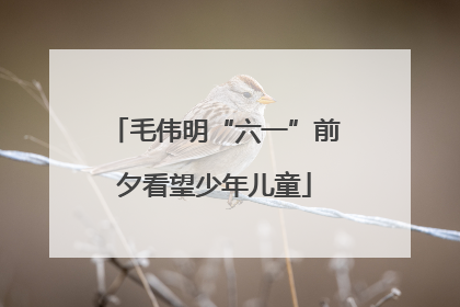 毛伟明“六一”前夕看望少年儿童