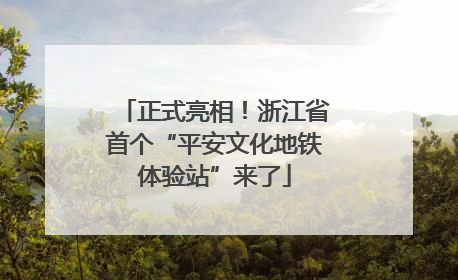 正式亮相！浙江省首个“平安文化地铁体验站”来了