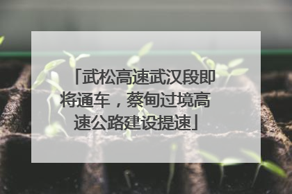 武松高速武汉段即将通车，蔡甸过境高速公路建设提速