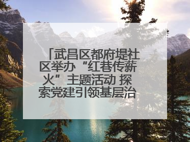 武昌区都府堤社区举办“红巷传薪火”主题活动 探索党建引领基层治理新路径