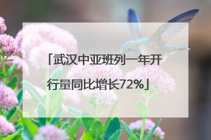 武汉中亚班列一年开行量同比增长72%