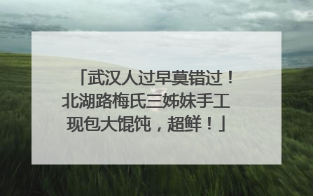 武汉人过早莫错过！北湖路梅氏三姊妹手工现包大馄饨，超鲜！