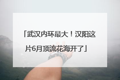 武汉内环最大！汉阳这片6月顶流花海开了