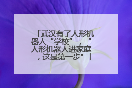 武汉有了人形机器人“学校”，“人形机器人进家庭，这是第一步”