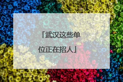 武汉这些单位正在招人