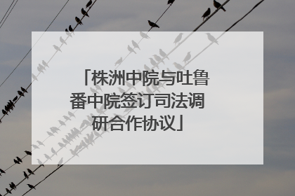 株洲中院与吐鲁番中院签订司法调研合作协议