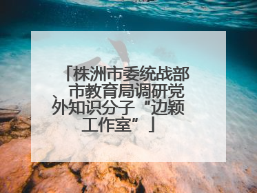 株洲市委统战部、市教育局调研党外知识分子“边颖工作室”