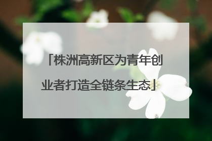 株洲高新区为青年创业者打造全链条生态