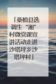 桑植县选调生“湘”村微党课宣讲活动走进沙塔坪乡沙塔坪村