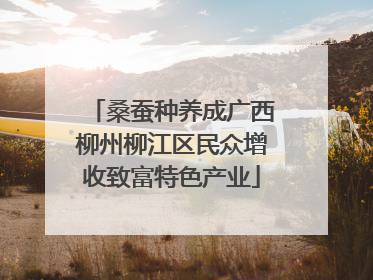 桑蚕种养成广西柳州柳江区民众增收致富特色产业