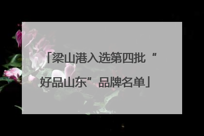 梁山港入选第四批“好品山东”品牌名单