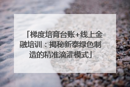 梯度培育台账+线上金融培训：揭秘新泰绿色制造的精准滴灌模式