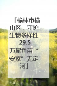 榆林市横山区：守护生物多样性 29.5万尾鱼苗“安家”无定河