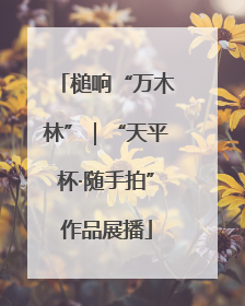 槌响“万木林”｜“天平杯·随手拍”作品展播