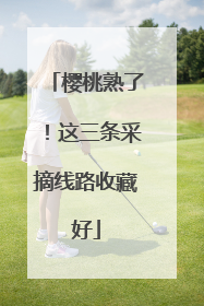 樱桃熟了！这三条采摘线路收藏好