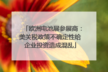 欧洲电池展参展商：美关税政策不确定性给企业投资造成混乱