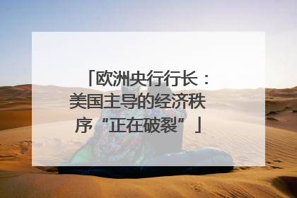 欧洲央行行长：美国主导的经济秩序“正在破裂”
