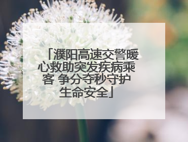 濮阳高速交警暖心救助突发疾病乘客 争分夺秒守护生命安全