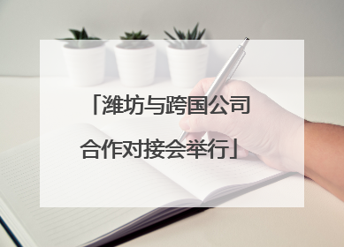 潍坊与跨国公司合作对接会举行