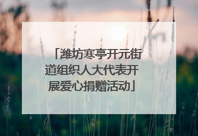 潍坊寒亭开元街道组织人大代表开展爱心捐赠活动