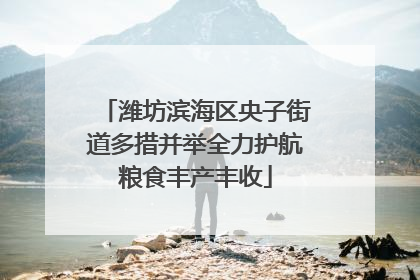 潍坊滨海区央子街道多措并举全力护航粮食丰产丰收