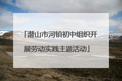 潜山市河镇初中组织开展劳动实践主题活动