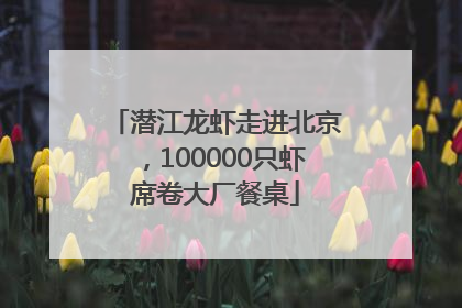 潜江龙虾走进北京，100000只虾席卷大厂餐桌