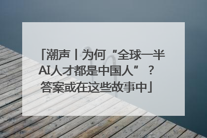 潮声丨为何“全球一半AI人才都是中国人”？答案或在这些故事中
