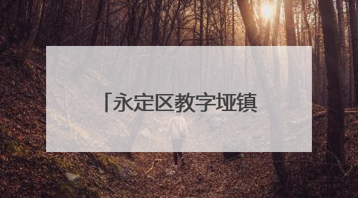 永定区教字垭镇：科学调度 干群合力 筑牢防洪抢险坚固防线