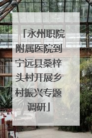 永州职院附属医院到宁远县桑梓头村开展乡村振兴专题调研