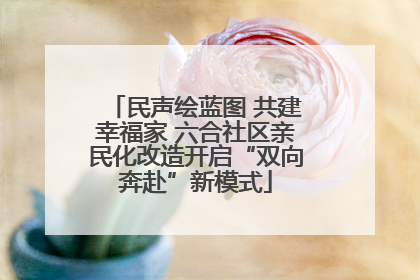民声绘蓝图 共建幸福家 六合社区亲民化改造开启“双向奔赴”新模式
