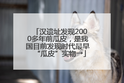 汉遗址发现2000多年前瓜皮，是我国目前发现时代最早“瓜皮”实物→