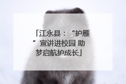 江永县：“护雁”宣讲进校园 助梦启航护成长