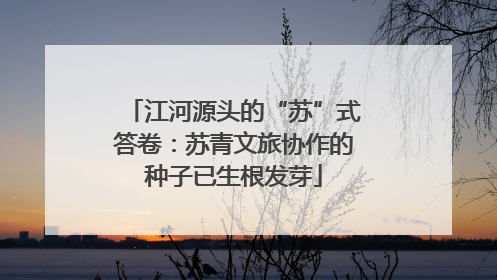 江河源头的“苏”式答卷：苏青文旅协作的种子已生根发芽