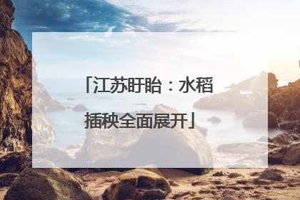 江苏盱眙：水稻插秧全面展开