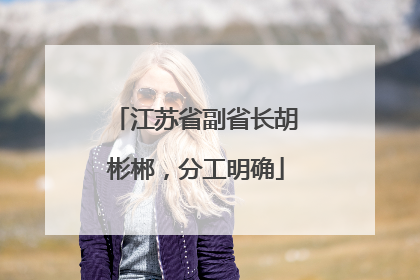 江苏省副省长胡彬郴，分工明确