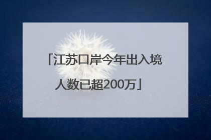 江苏口岸今年出入境人数已超200万
