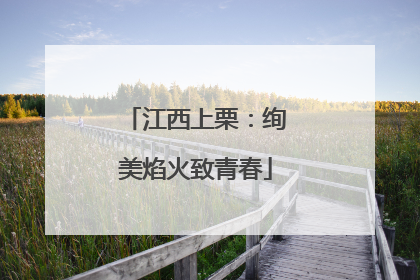 江西上栗：绚美焰火致青春